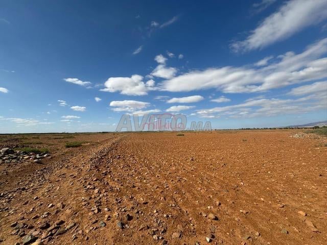 Land 208,100 m² for Sale in Marrakech — Photo 2
