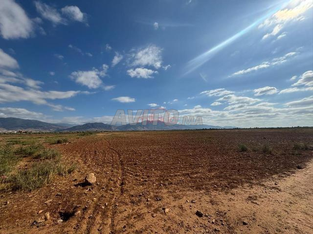 Land 208,100 m² for Sale in Marrakech — Photo 6