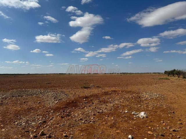 Land 208,100 m² for Sale in Marrakech — Photo 8