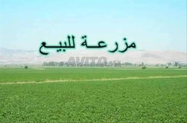 Land 10,000 m² for sale in Casablanca — Photo 2