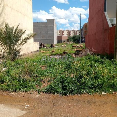 Terrain villa titré à vendre, quartier Ourribaa, 194 m² — Photo 6
