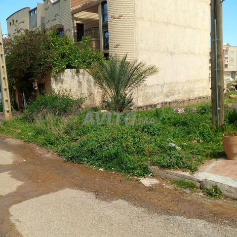 Terrain villa titré à vendre, quartier Ourribaa, 194 m² — Photo 12