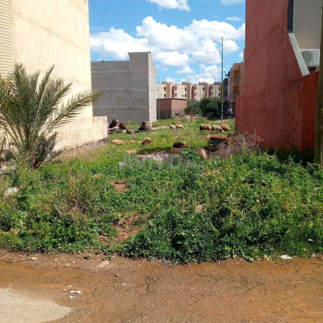 Terrain villa titré à vendre, quartier Ourribaa, 194 m² — Photo 5