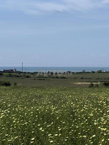 Terrain 10000 m² à vendre avec vue panoramique sur mer à El Jadida — Photo 3