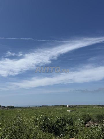 Terrain 10000 m² à vendre avec vue panoramique sur mer à El Jadida — Photo 9