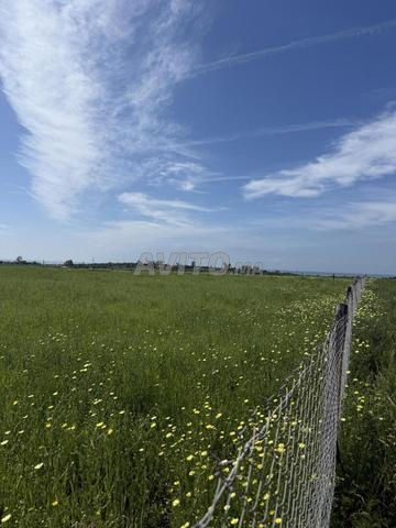 Terrain 10000 m² à vendre avec vue panoramique sur mer à El Jadida — Photo 13