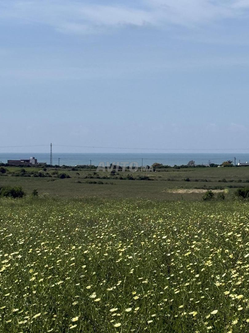 Terrain 10000 m² à vendre avec vue panoramique sur mer à El Jadida — Photo 4