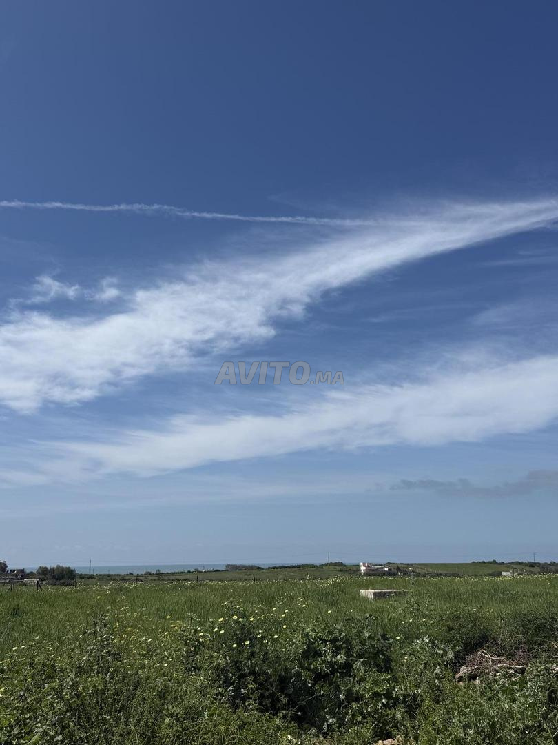 Terrain 10000 m² à vendre avec vue panoramique sur mer à El Jadida — Photo 10