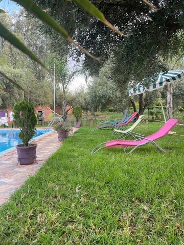 Villa 4620 m² à vendre à Marrakech — Photo 19