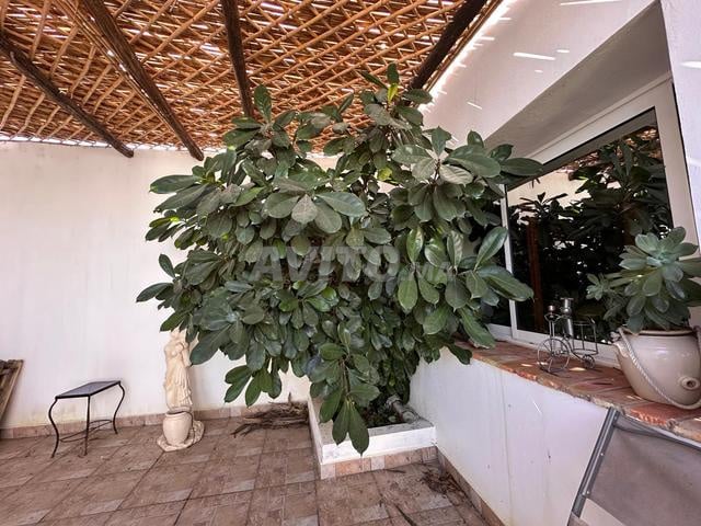 700 m² Country House for Sale in Asilah — Photo 23
