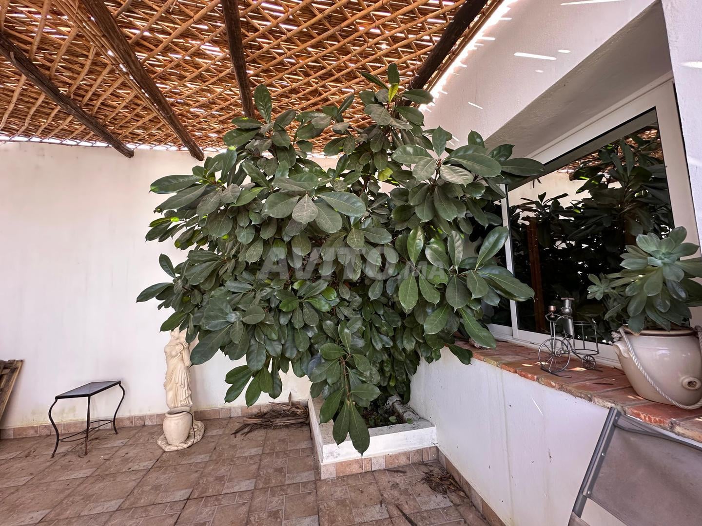 700 m² Country House for Sale in Asilah — Photo 24