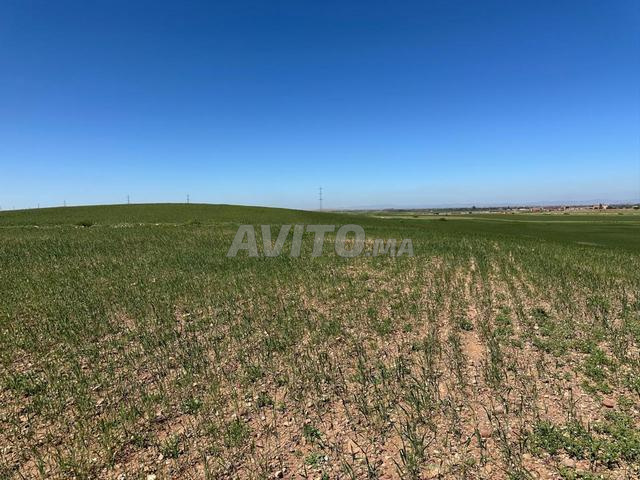 Terrain 25000 m² à vendre à Marrakech — Photo 3