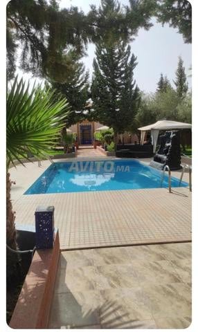 Villa for rent 1500 MAD in Marrakech — Photo 37