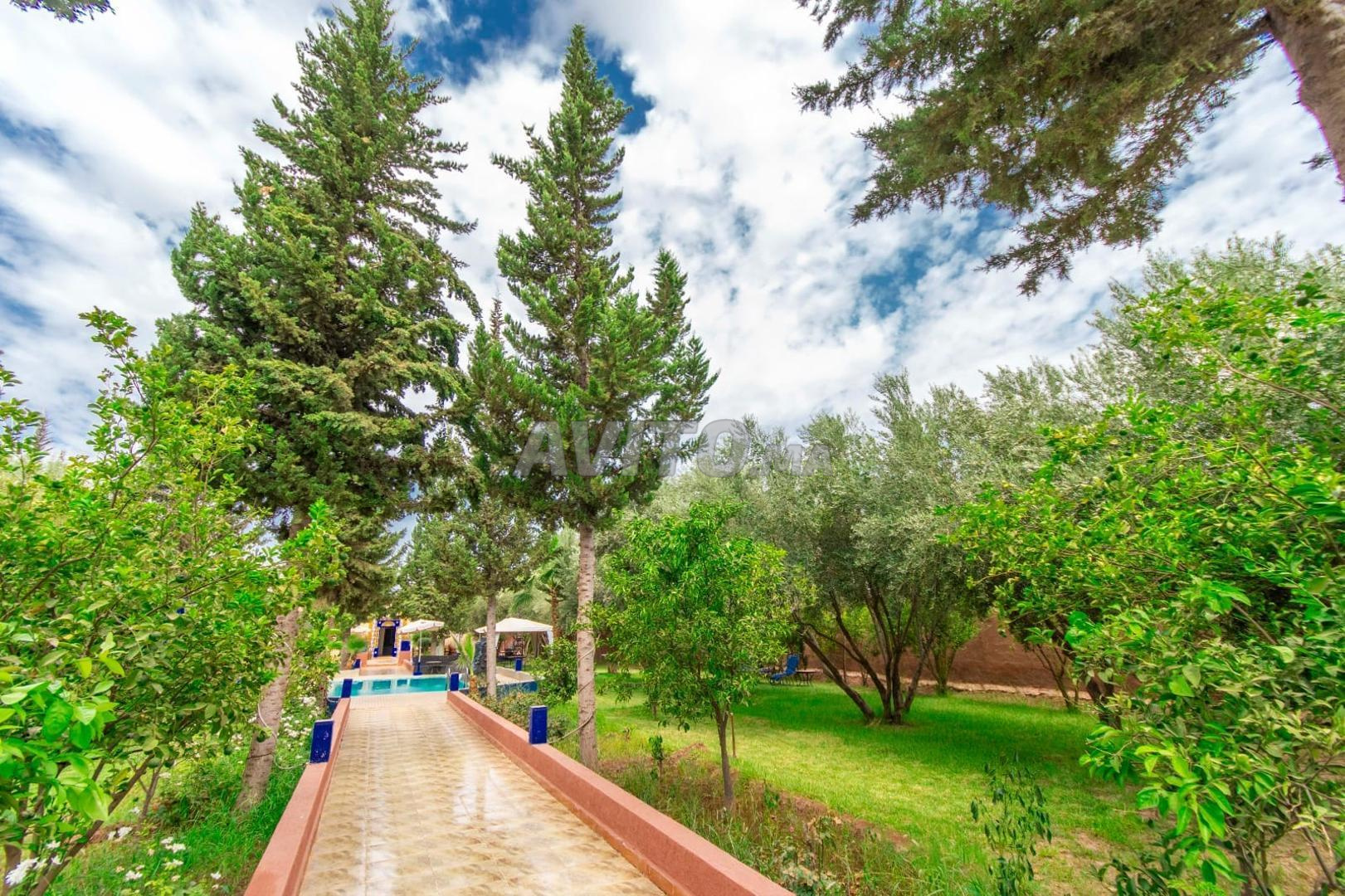 Villa for rent 1500 MAD in Marrakech — Photo 4