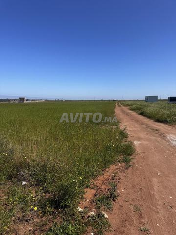 Land for sale in Sidi Rahal Plage