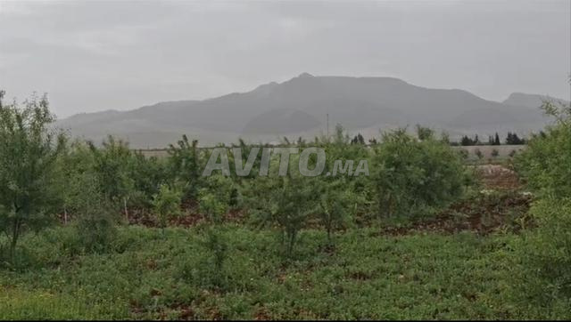 Land for sale 8326 m² in Sefrou — Photo 3