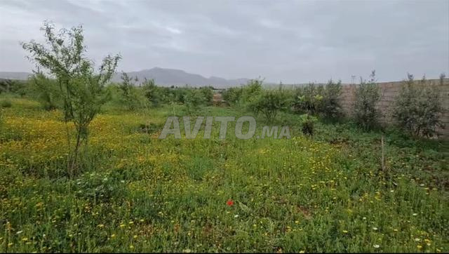 Land for sale 8326 m² in Sefrou — Photo 5