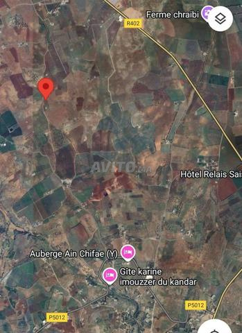 Land for sale 8326 m² in Sefrou — Photo 13