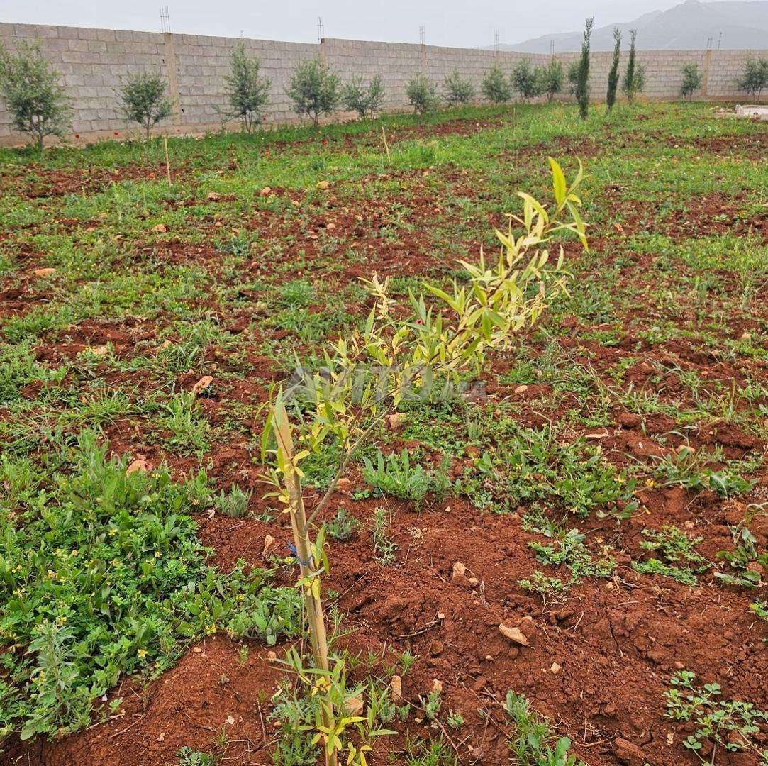 Land for sale 8326 m² in Sefrou — Photo 8