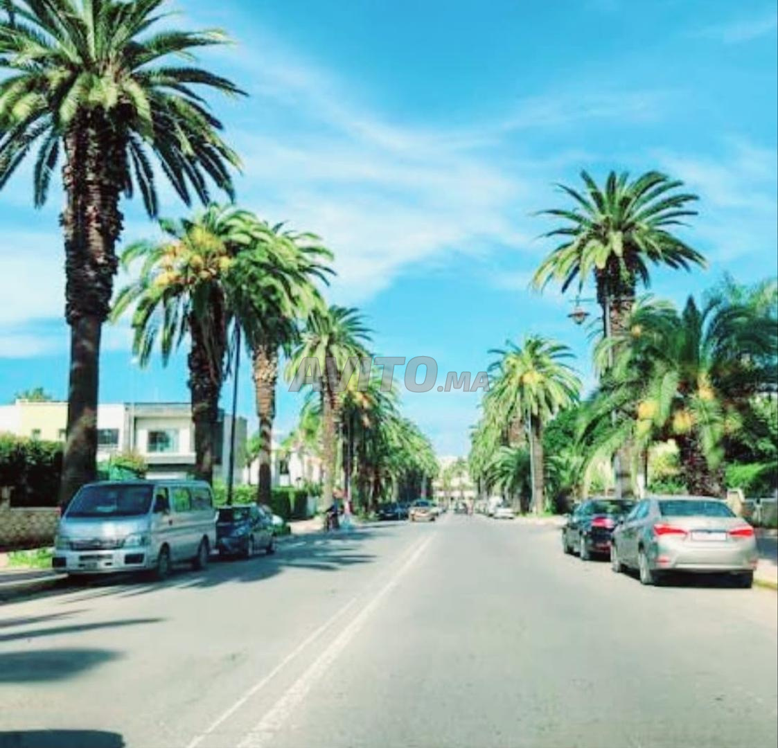 Terrain à Vendre 650 m² Quartier du Parc à Mohammédia