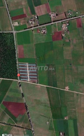 Terrain 30 000 m² à vendre à Sidi Rahal — Photo 2