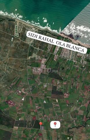Terrain 30 000 m² à vendre à Sidi Rahal — Photo 5