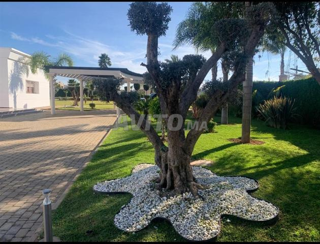 Villa 13000 m² for sale in El Menzeh — Photo 8