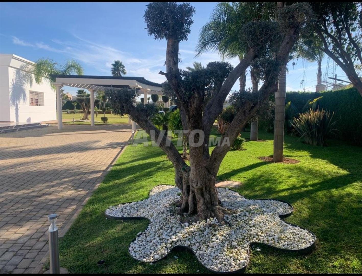 Villa 13000 m² for sale in El Menzeh — Photo 7