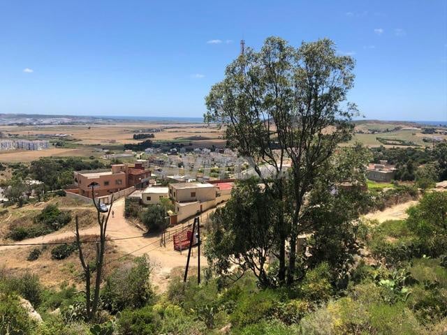 892 m² Plot for Sale in Tangier Mghayer — Photo 4