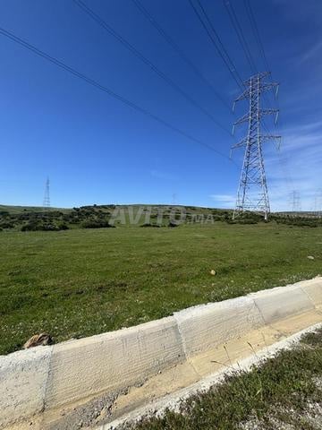 Terrain 2000 m² à vendre à Tanger — Photo 3