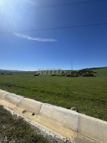 Terrain 2000 m² à vendre à Tanger — Photo 7