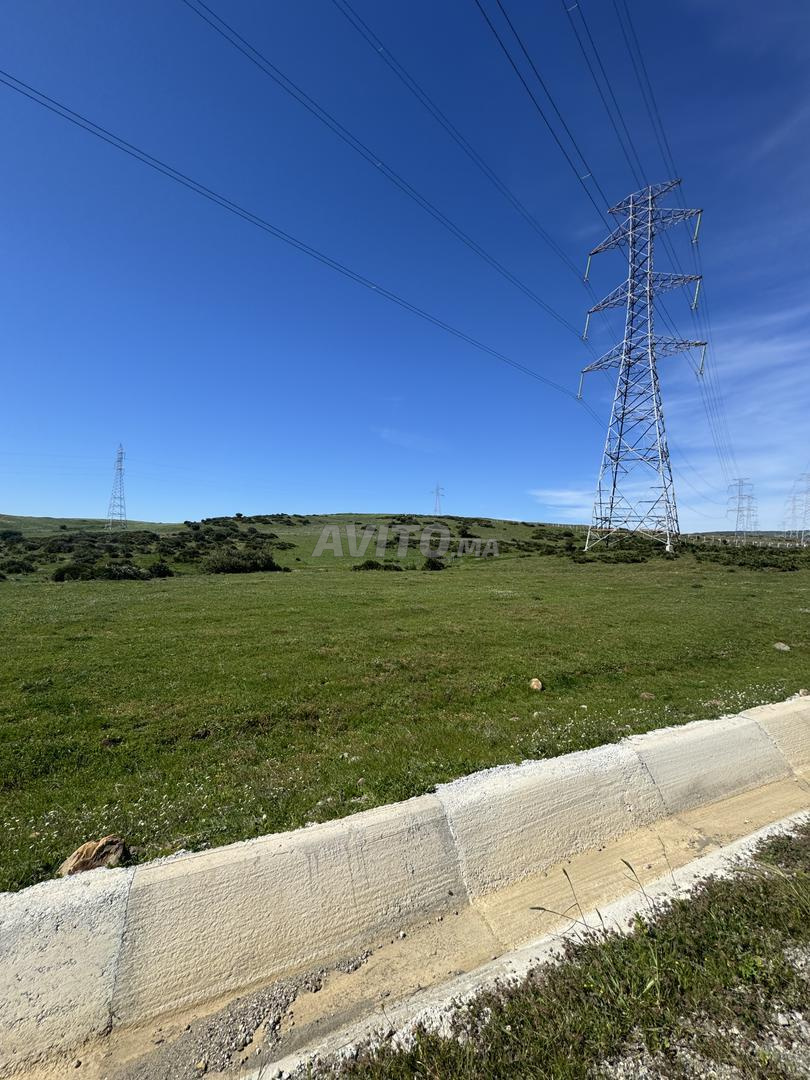 Terrain 2000 m² à vendre à Tanger — Photo 4