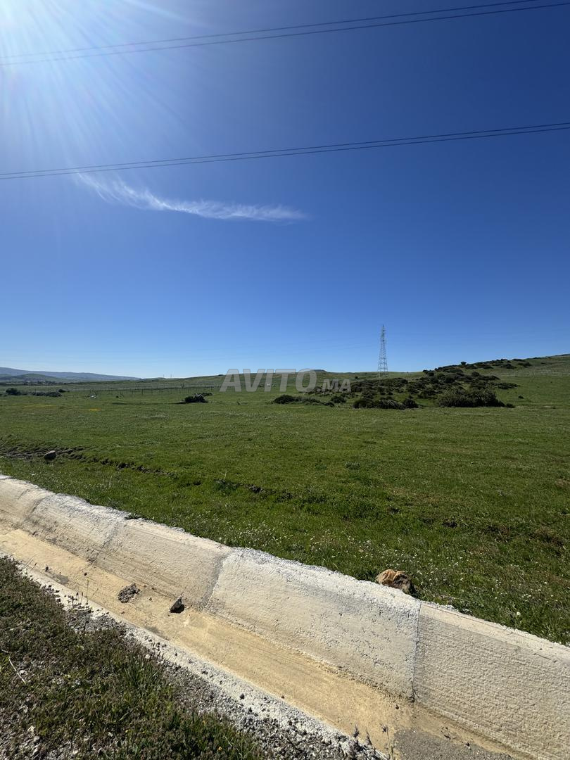 Terrain 2000 m² à vendre à Tanger — Photo 8