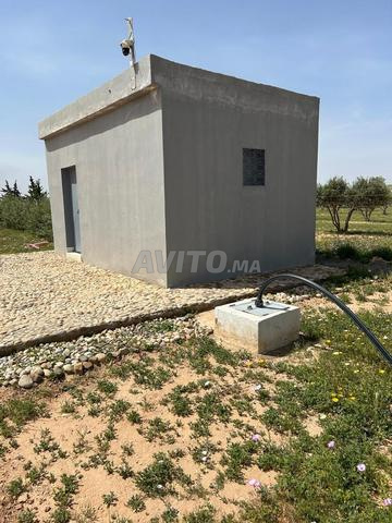 Land 10,000 m² for sale in Oujda — Photo 6