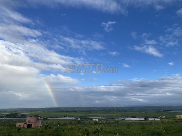 أرض للبيع 12265 م² في الرباط — Photo 13