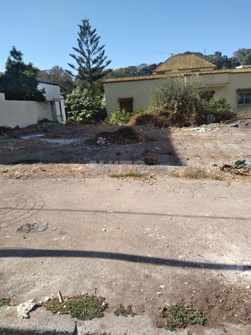 شقة 333 م² للبيع في طنجة — Photo 4