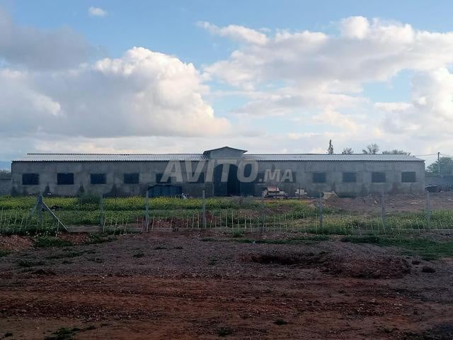 Local commercial 8500 m² à louer à Marrakech — Photo 2