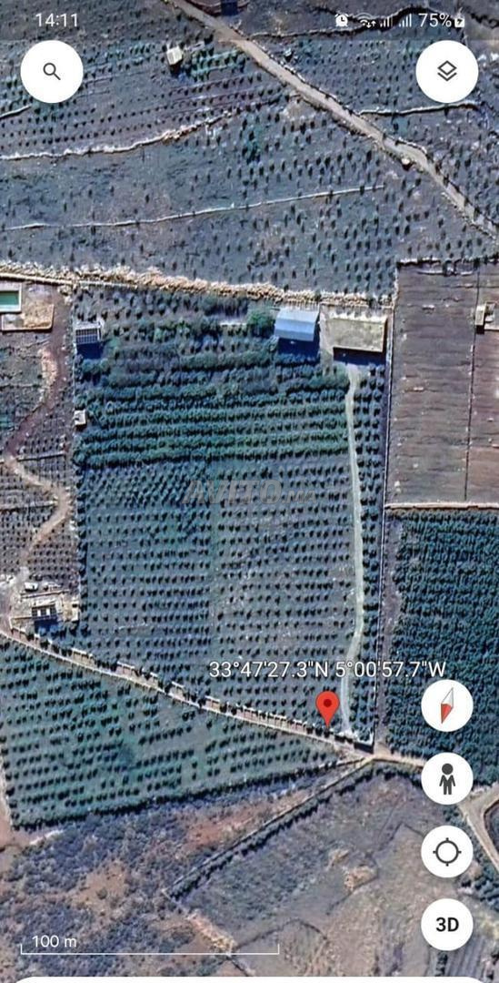 Ferme titrée à vendre à Imouzzer Kandar - 27000 m² — Photo 2