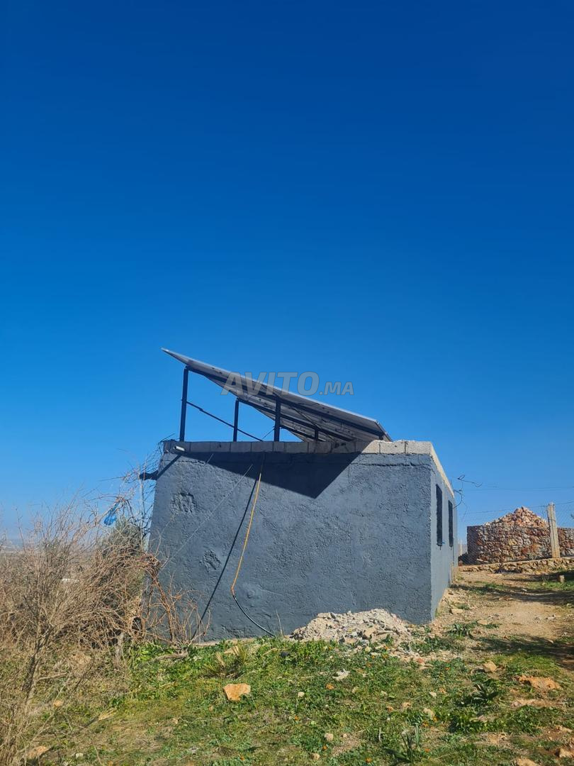 Ferme titrée à vendre à Imouzzer Kandar - 27000 m² — Photo 8