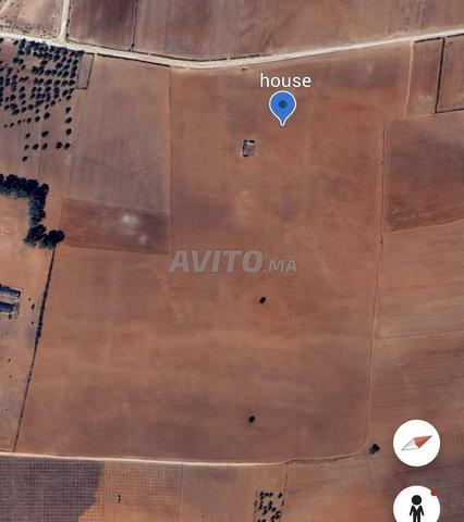 Terrain 240 000 m² à vendre à Sebt Gzoula — Photo 11