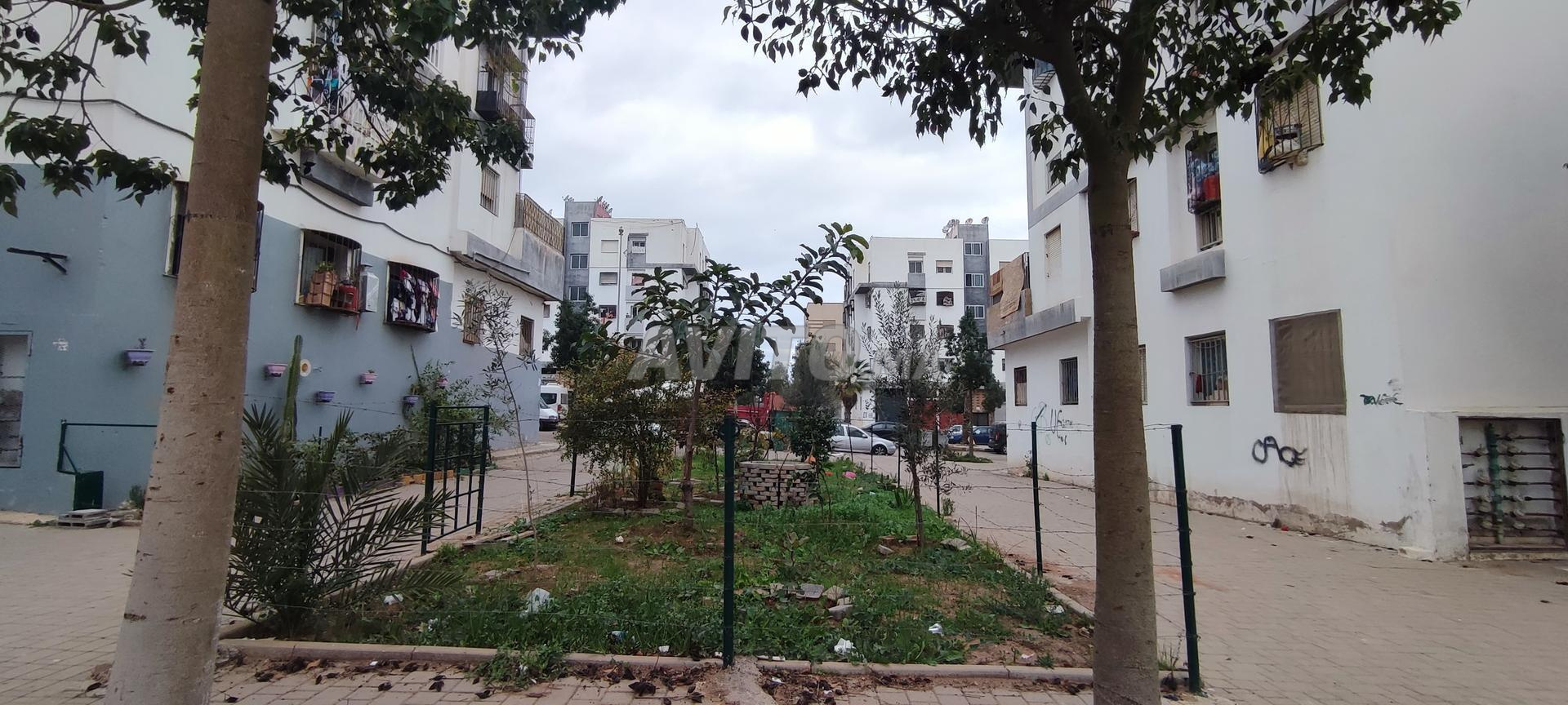 Commercial space 160 m² for sale in Sidi Hajjaj Oued Hassar — Photo 59