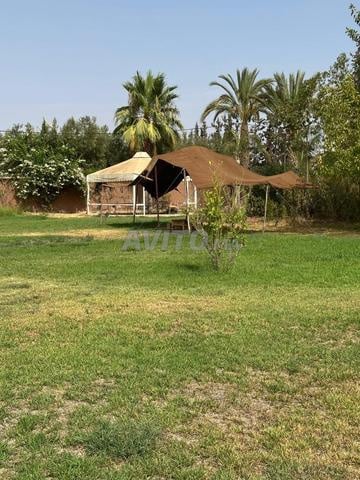 Villa 1800 MAD à louer à Marrakech — Photo 22