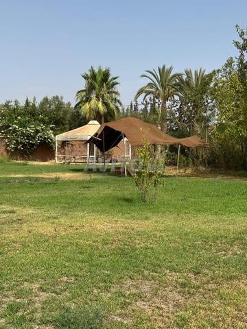 Villa 1800 MAD à louer à Marrakech — Photo 26