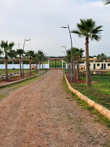 Vente Domaine Agricole 20000 m2 à Bouskoura — Photo 9