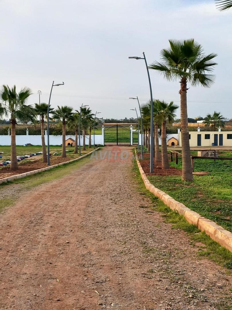 Vente Domaine Agricole 20000 m2 à Bouskoura — Photo 10
