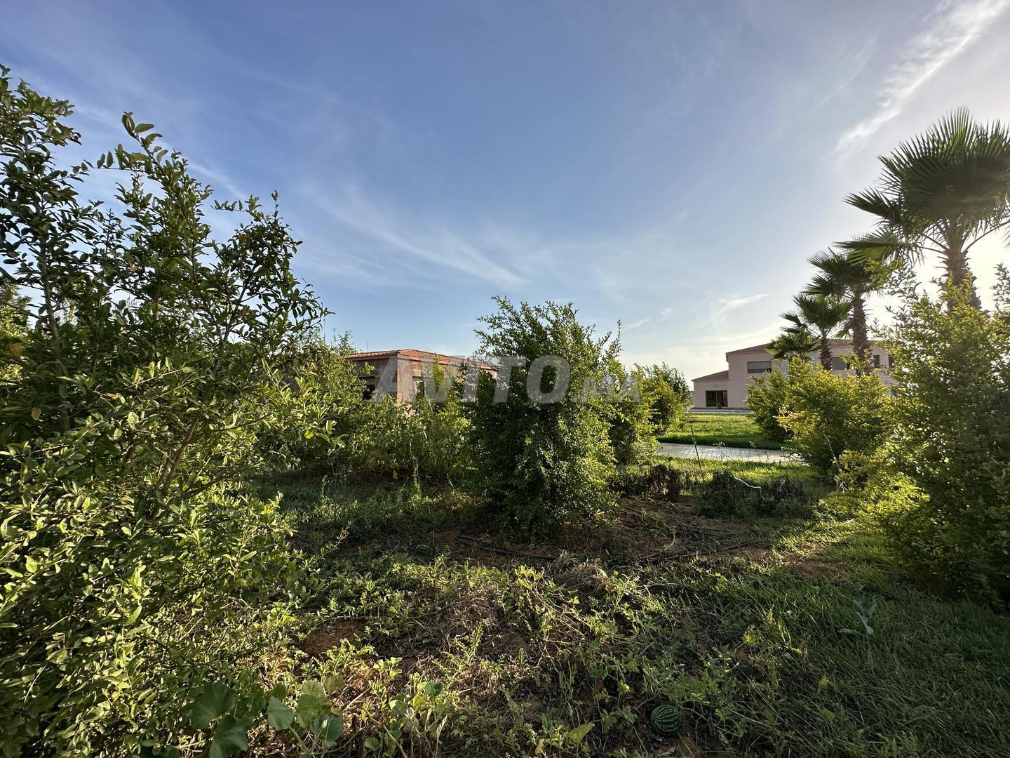 Villa 10000 m² for rent in Casablanca — Photo 9