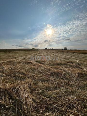 Terrain agricole 10000 m² à vendre à Berrechid — Photo 3