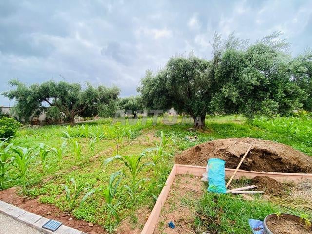 أرض 1300 م² للبيع في مراكش (حي فيلا) — Photo 2