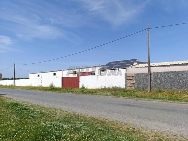 Entrepôt 1000 m² à louer à Sidi Allal Bahraoui — Photo 2