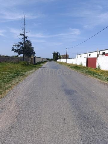Entrepôt 1000 m² à louer à Sidi Allal Bahraoui — Photo 4